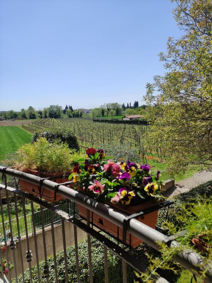 Agriturismo La Vigna Cola  Bagian luar foto