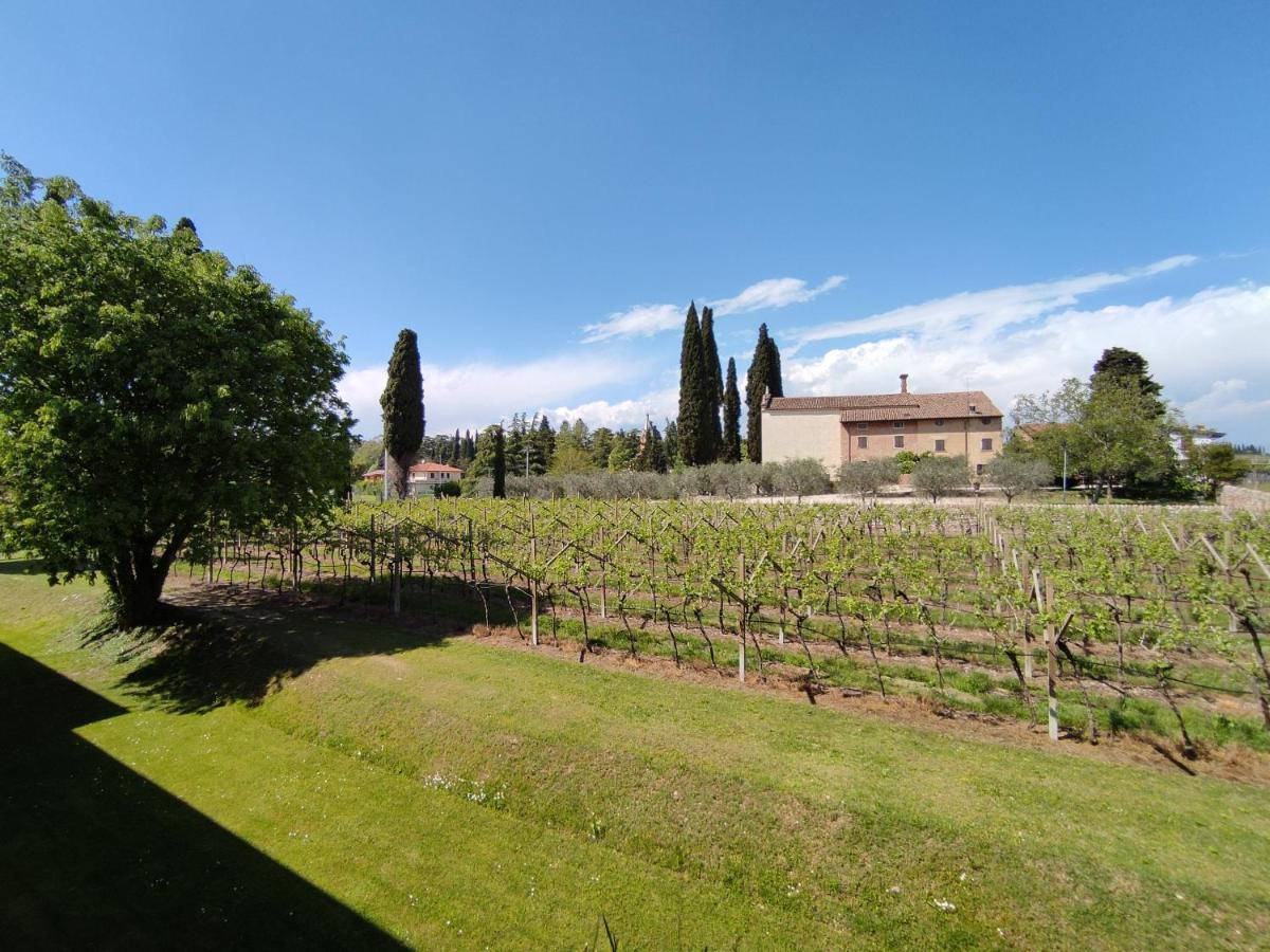 Agriturismo La Vigna Cola  Bagian luar foto